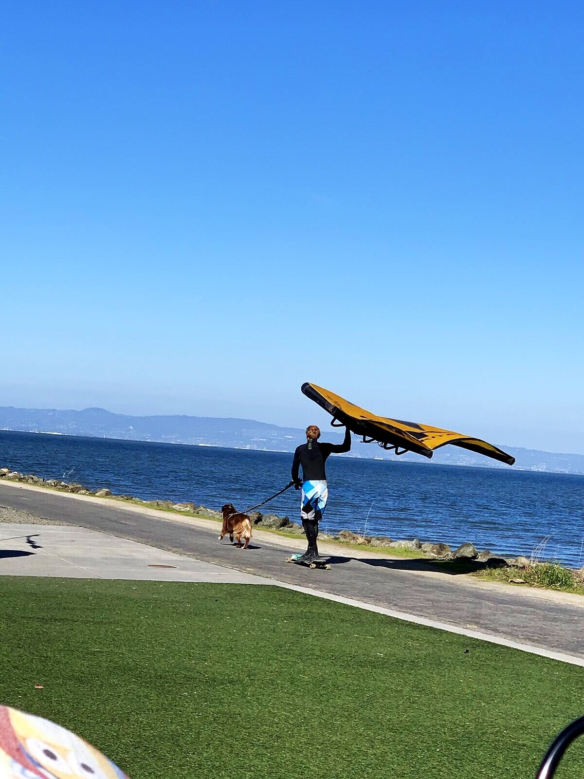 The Kite School (Tony Parsons)